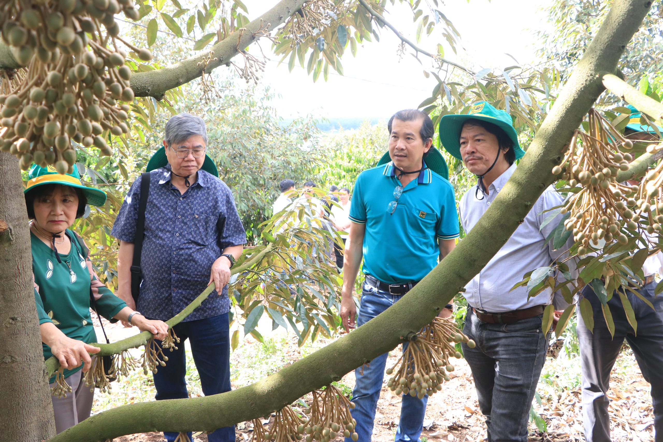 Chuyên gia, nhà khoa học đến tận vườn trao đổi với nông dân về mô hình canh tác cà phê thông minh- Ảnh 4.