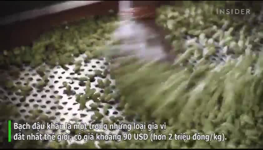 Loại hạt đắt đỏ bậc nhất thế giới, giá tận 2 triệu/kg không ngờ có đầy ở Việt Nam- Ảnh 5.