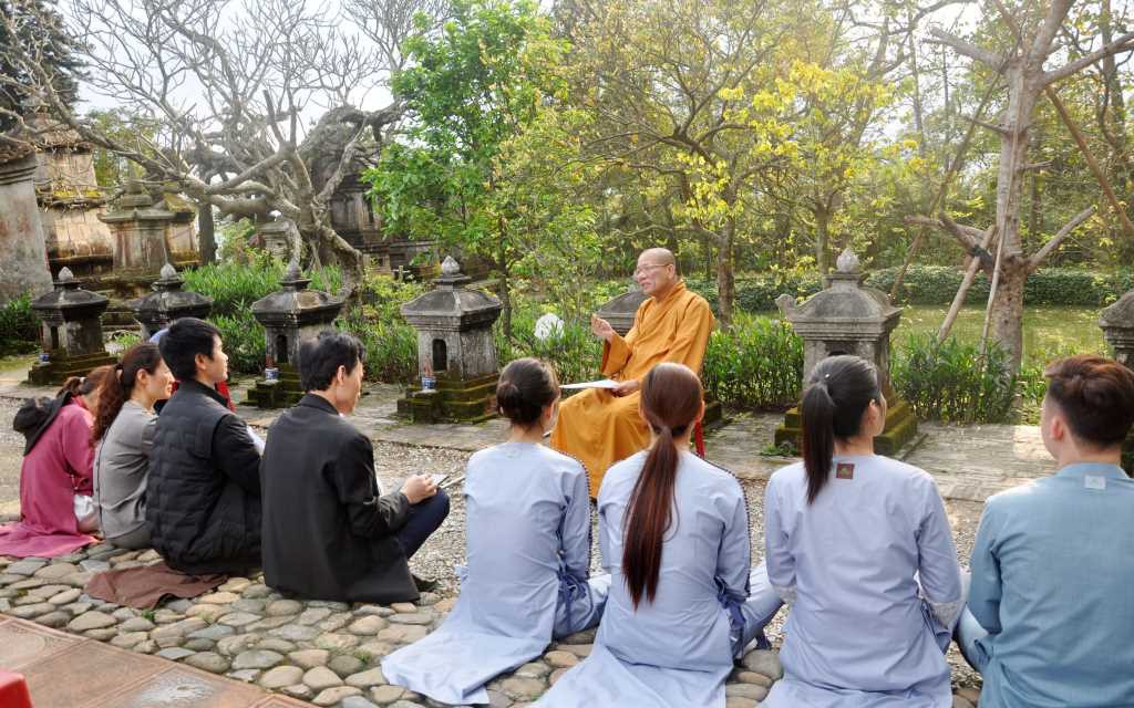 Mai vàng mọc trên đá tại một ngọn núi thiêng ở Quảng Ninh, càng vùng thừa sáng, hoa càng thắm sắc