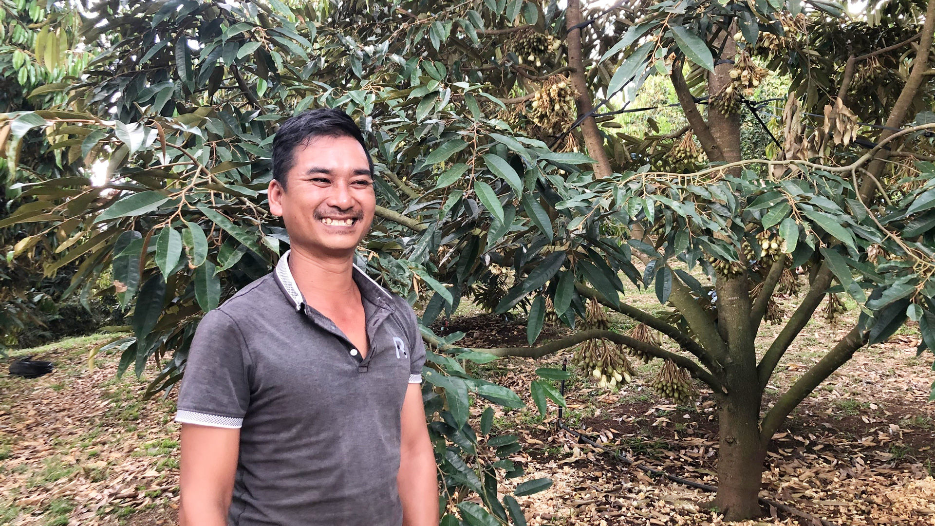 Vùng đất Hang Ka ở Lâm Đồng, một vườn cây của người Châu Mạ ra loại trái ngon, bán đắt tiền- Ảnh 1.