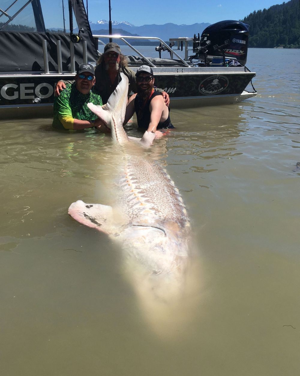 Video: Nhóm cần thủ chinh phục được "cụ" cá tầm 100 tuổi, dài hơn 3 mét, nặng 363 kg- Ảnh 1.