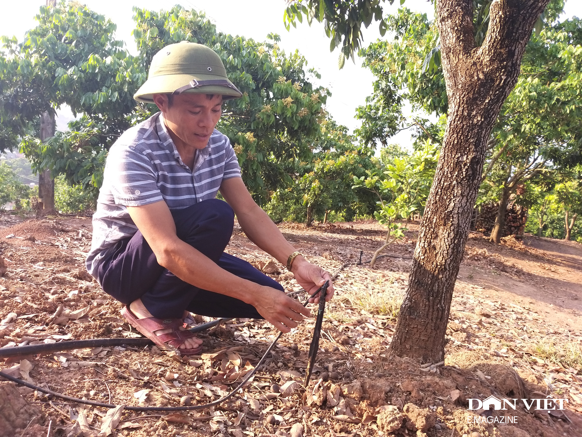 Chủ tịch Hội Nông dân Việt Nam Lương Quốc Đoàn: Nông dân là đối tượng chính được hưởng thành quả chuyển đổi số (Bài 4)- Ảnh 15.