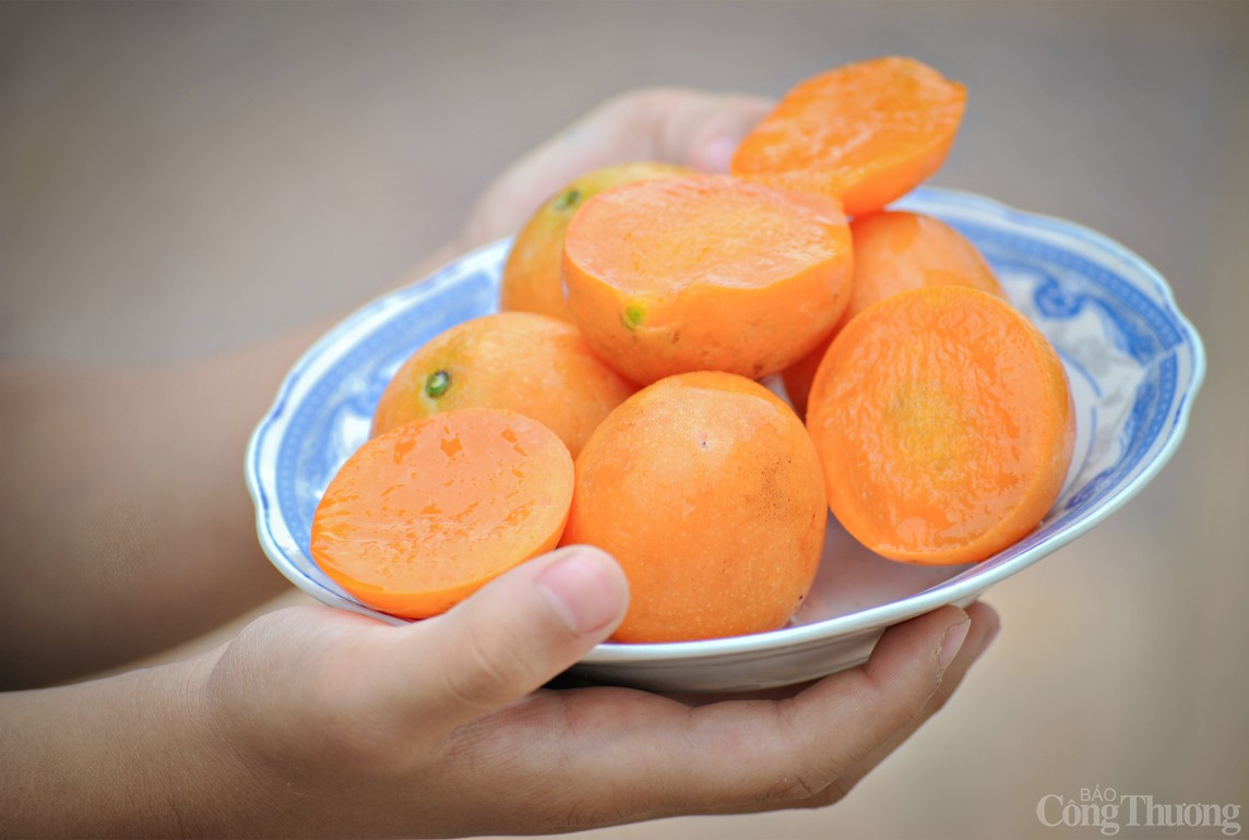 Ngoài bưởi Năm Roi, tỉnh Vĩnh Long còn sở hữu một loại trái cây đặc sản nổi tiếng khác, đó là loại trái cây gì?- Ảnh 3.