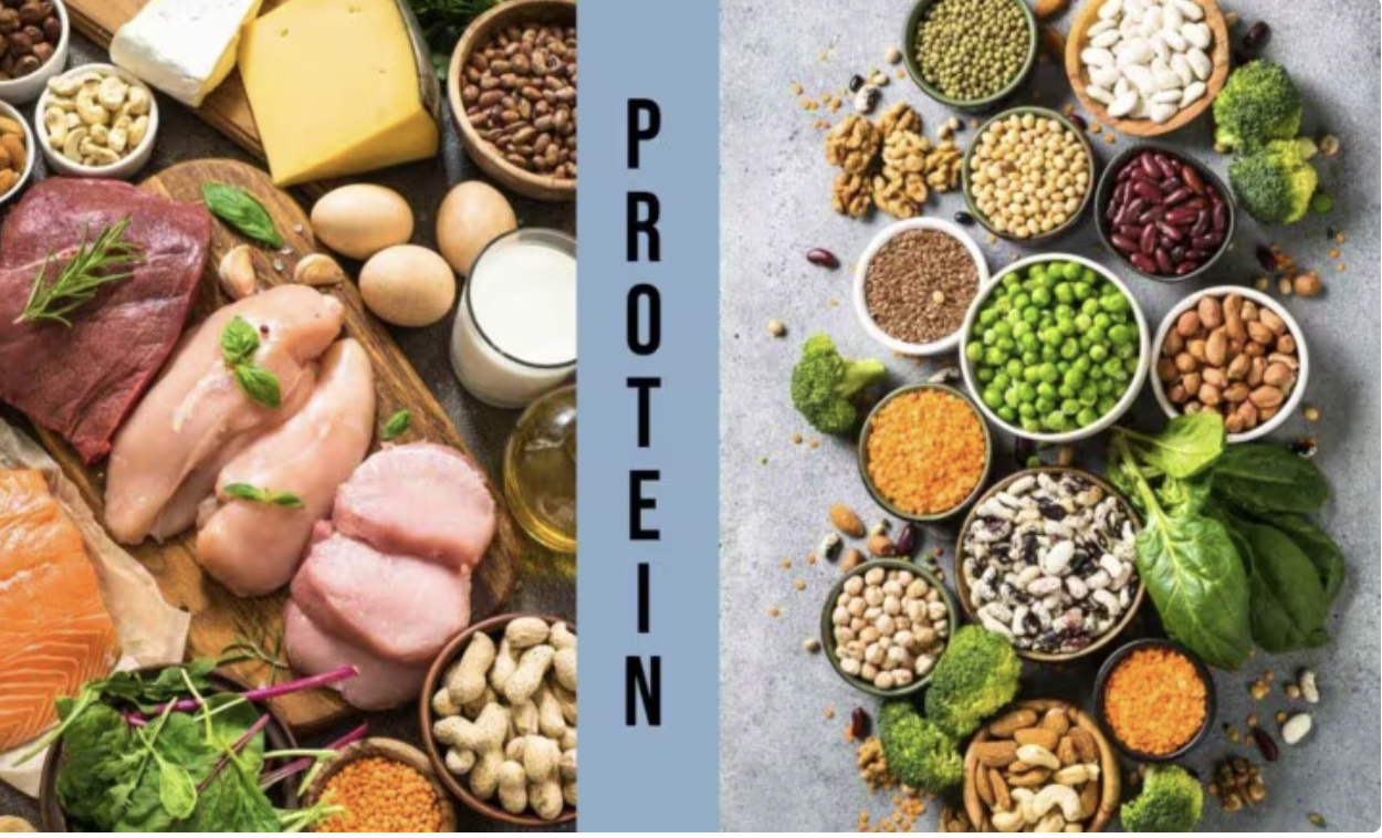 
Protein động vật và protein thực vật: Cái nào tốt hơn?- Ảnh 1.