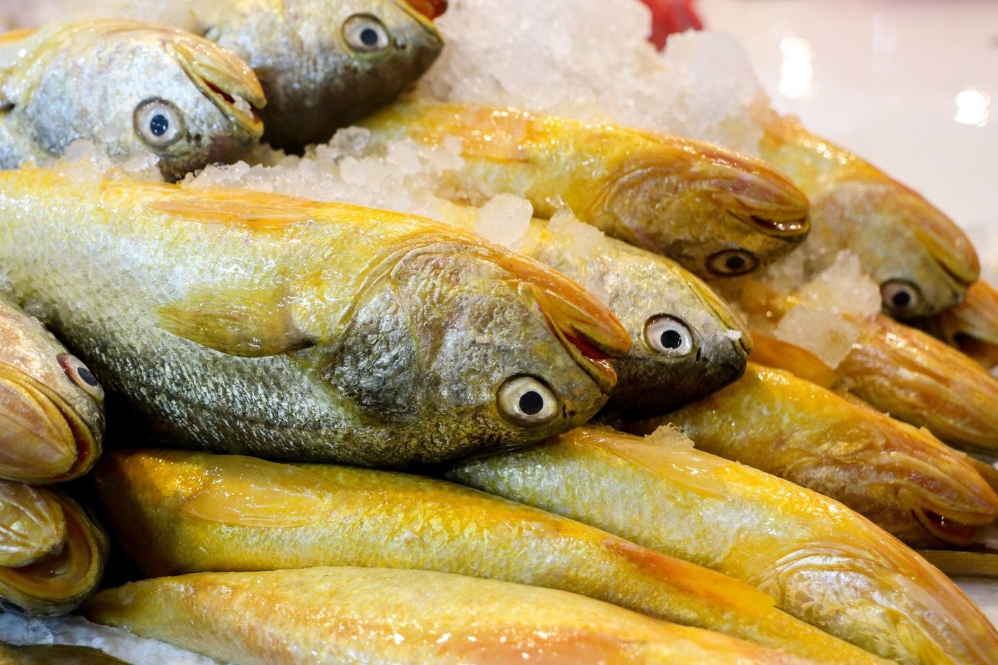 Chuyên gia khuyên nếu đi chợ mà thấy 9 loại cá ngọt thịt, ít xương, nhiều dinh dưỡng này thì nên mua ngay- Ảnh 10.