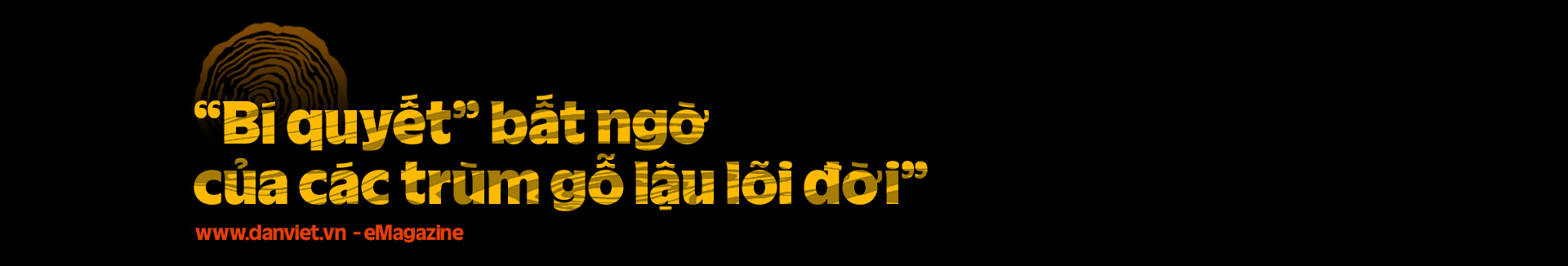 Đường đi của gỗ lậu qua xe chuyển phát nhanh: Nghệ thuật đi đêm và trùm chăn mỗi lô hàng (Bài 2)- Ảnh 24.