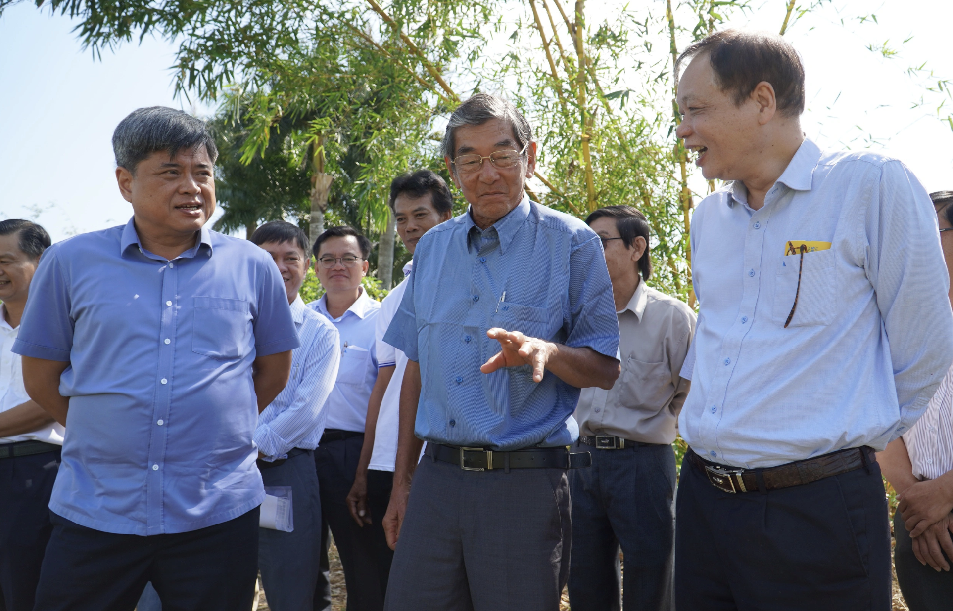 Vùng nào trồng lúa ST25 đạt 90 triệu đồng/ha, cho ra gạo vừa ngon, vừa thơm?- Ảnh 1.