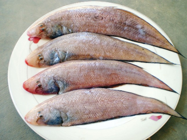 Chuyên gia khuyên nếu đi chợ mà thấy 9 loại cá ngọt thịt, ít xương, nhiều dinh dưỡng này thì nên mua ngay- Ảnh 4.