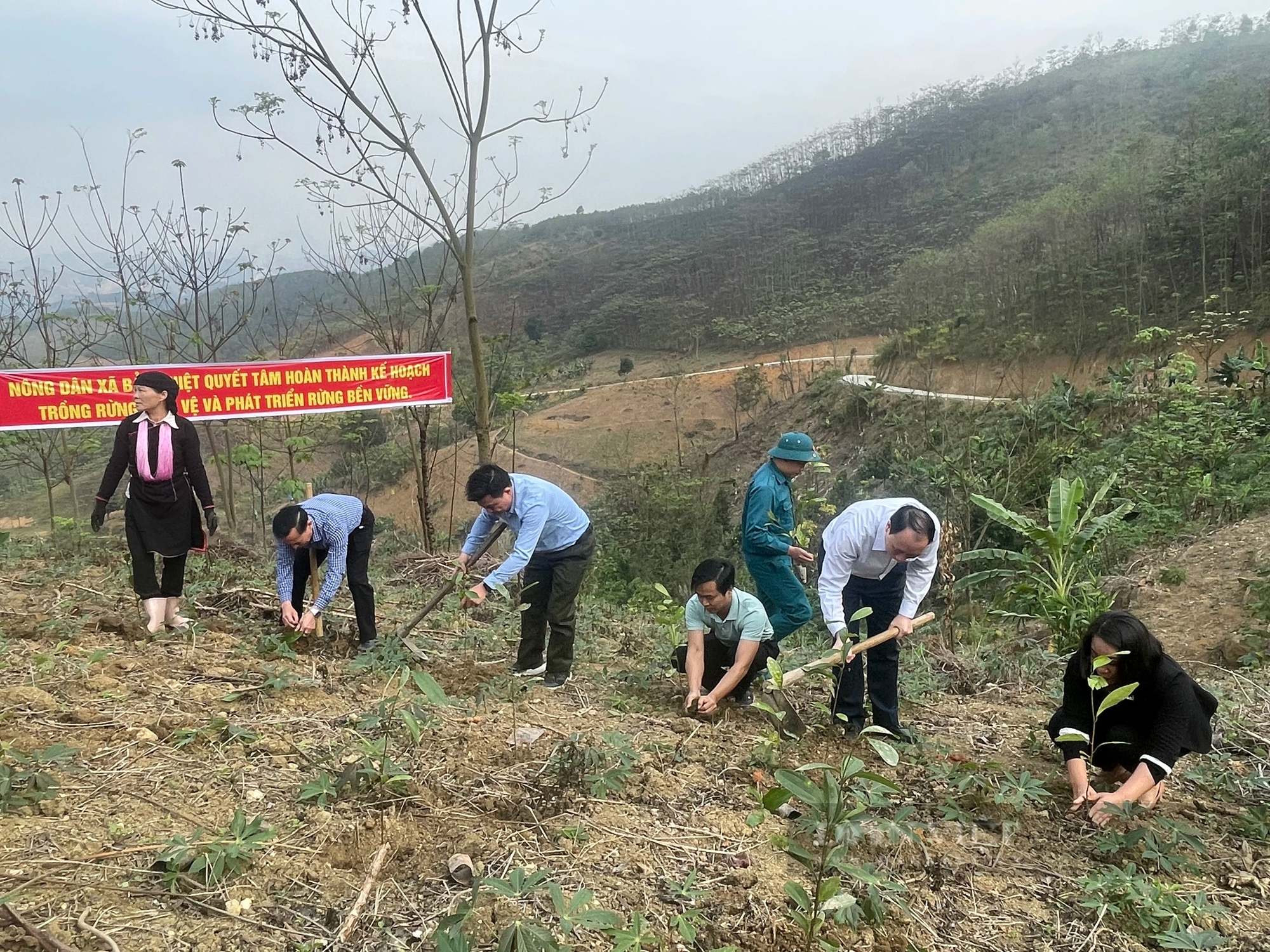 Lào Cai: Hỗ trợ 50.000 cây quế giống cho hội viên nông dân vùng biên có hoàn cảnh khó khăn- Ảnh 6.