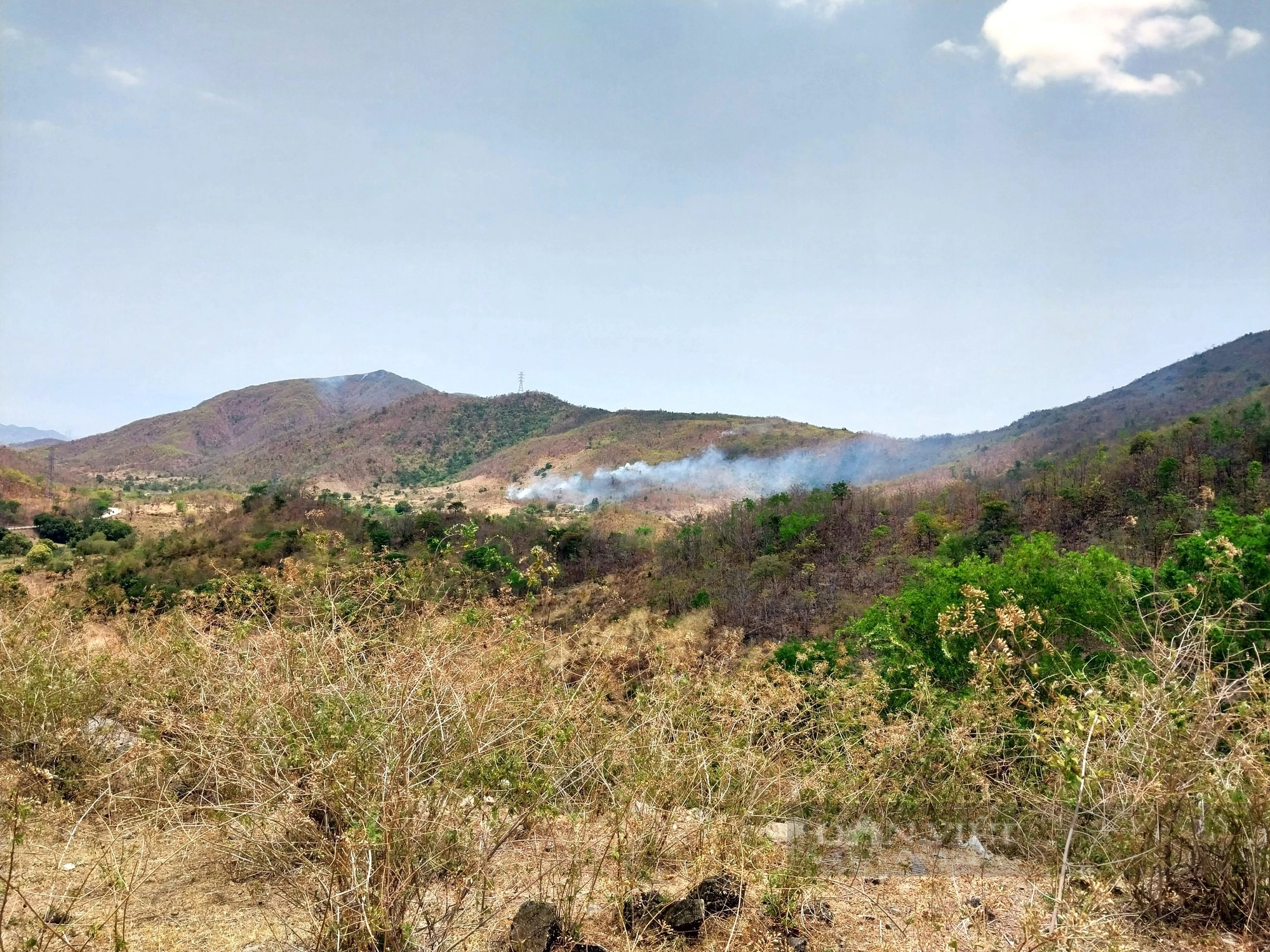 Ninh Thuận nâng mức nguy cơ cháy rừng lên cấp nguy hiểm do nắng nóng kéo dài- Ảnh 3.