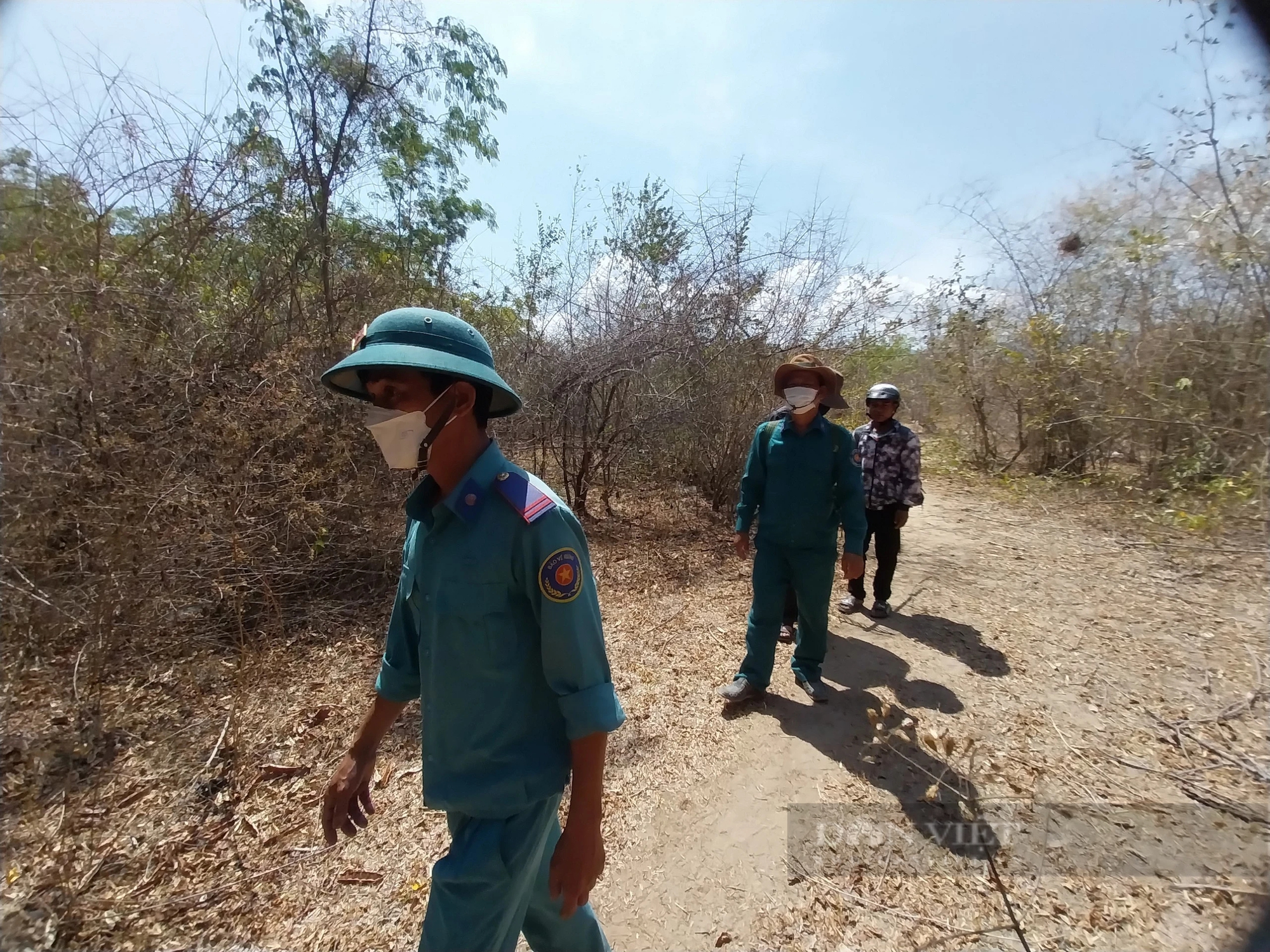 Ninh Thuận nâng mức nguy cơ cháy rừng lên cấp nguy hiểm do nắng nóng kéo dài- Ảnh 4.