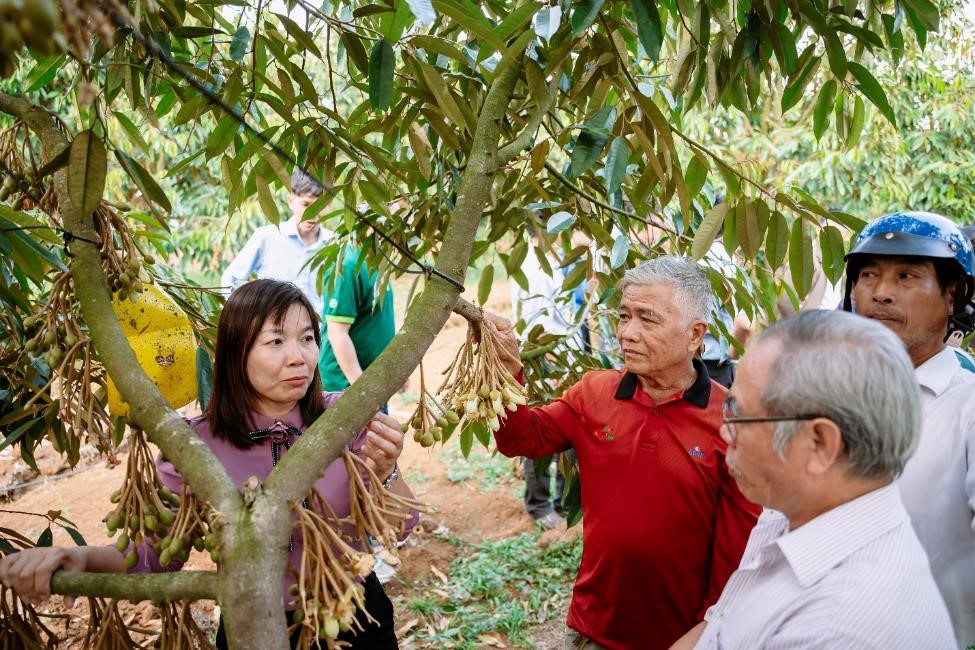 Bayer Việt Nam thúc đẩy canh tác sầu riêng bền vững tại Đắk Nông- Ảnh 2.