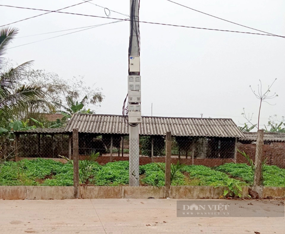 Di dời cột điện “mọc” giữa đường ở xã nông thôn mới của Ninh Bình sau phản ánh của Báo Dân Việt- Ảnh 1.