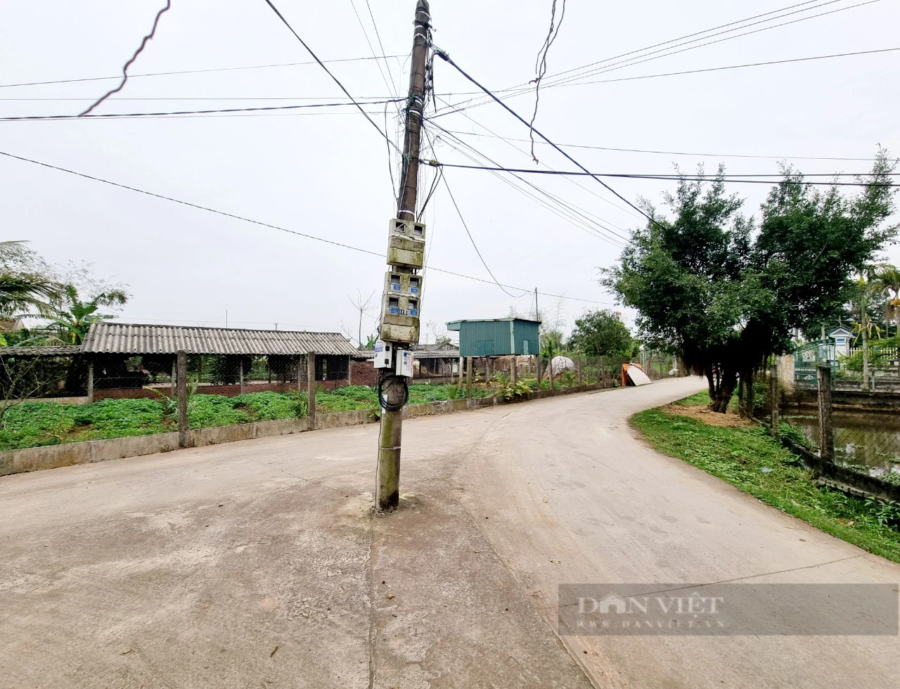 Di dời cột điện “mọc” giữa đường ở xã nông thôn mới của Ninh Bình sau phản ánh của Báo Dân Việt- Ảnh 3.