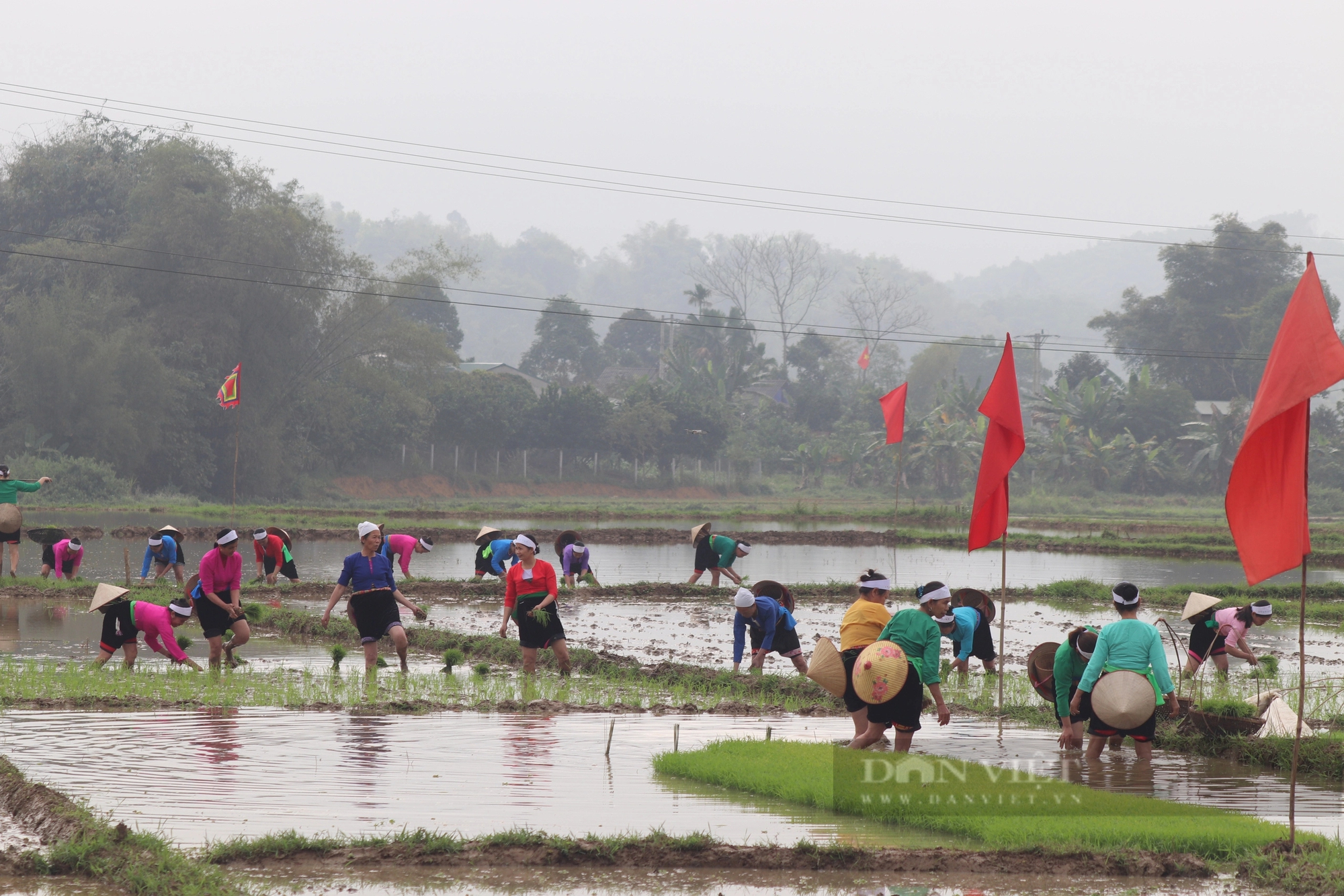 Độc đáo lễ hội Khai hạ ở Hòa Bình: Hàng nghìn người dân xin nước, cúng rước mạ tại ruộng- Ảnh 5.