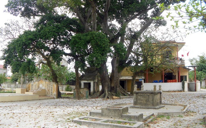 Giếng cổ Champa ở một làng cổ của Quảng Bình, ngót ngàn năm nước vẫn trong văn vắt