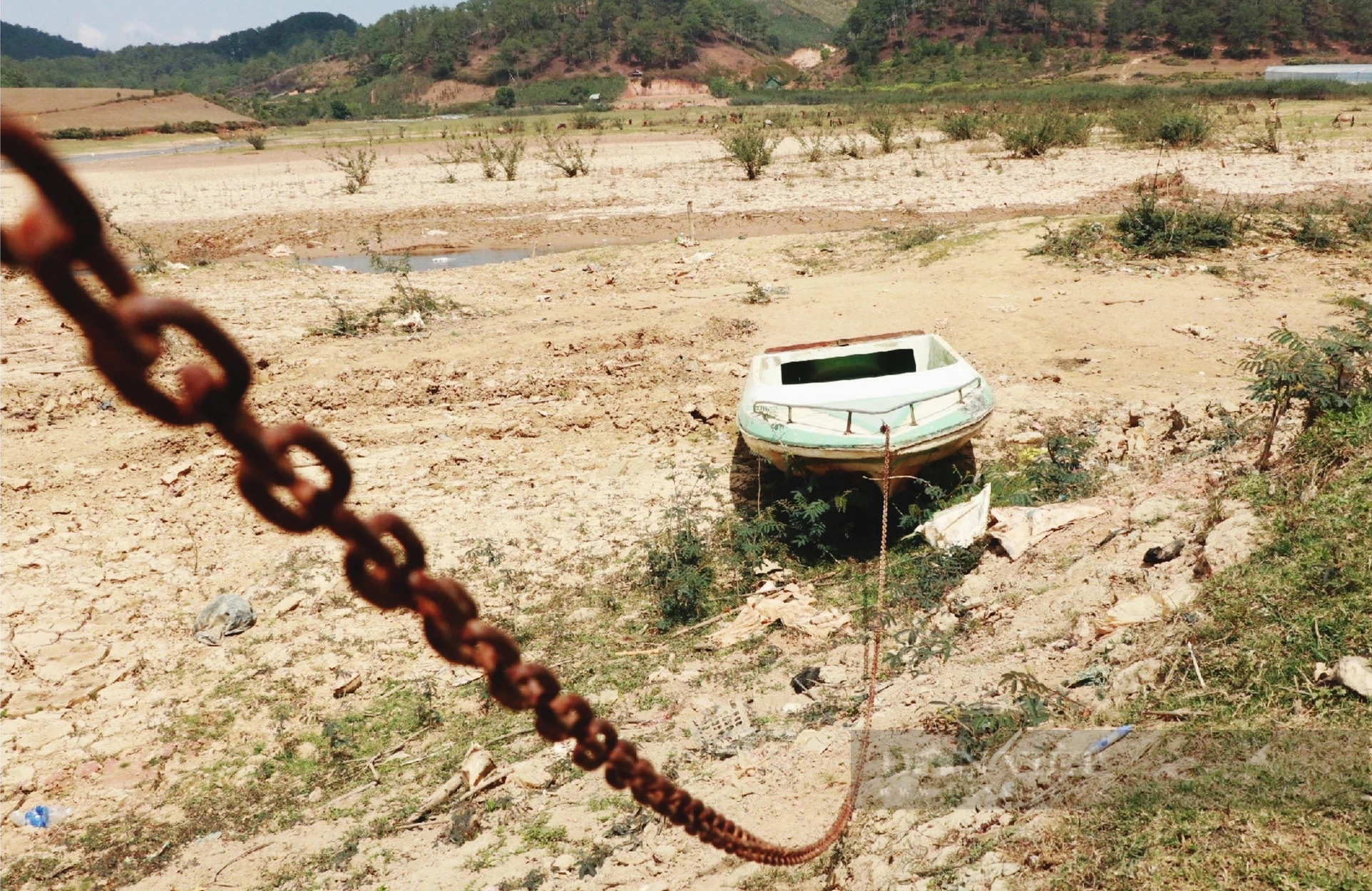 Đất nứt toác, người dân đi xe máy dưới lòng hồ cạn khô ở Lâm Đồng- Ảnh 7.