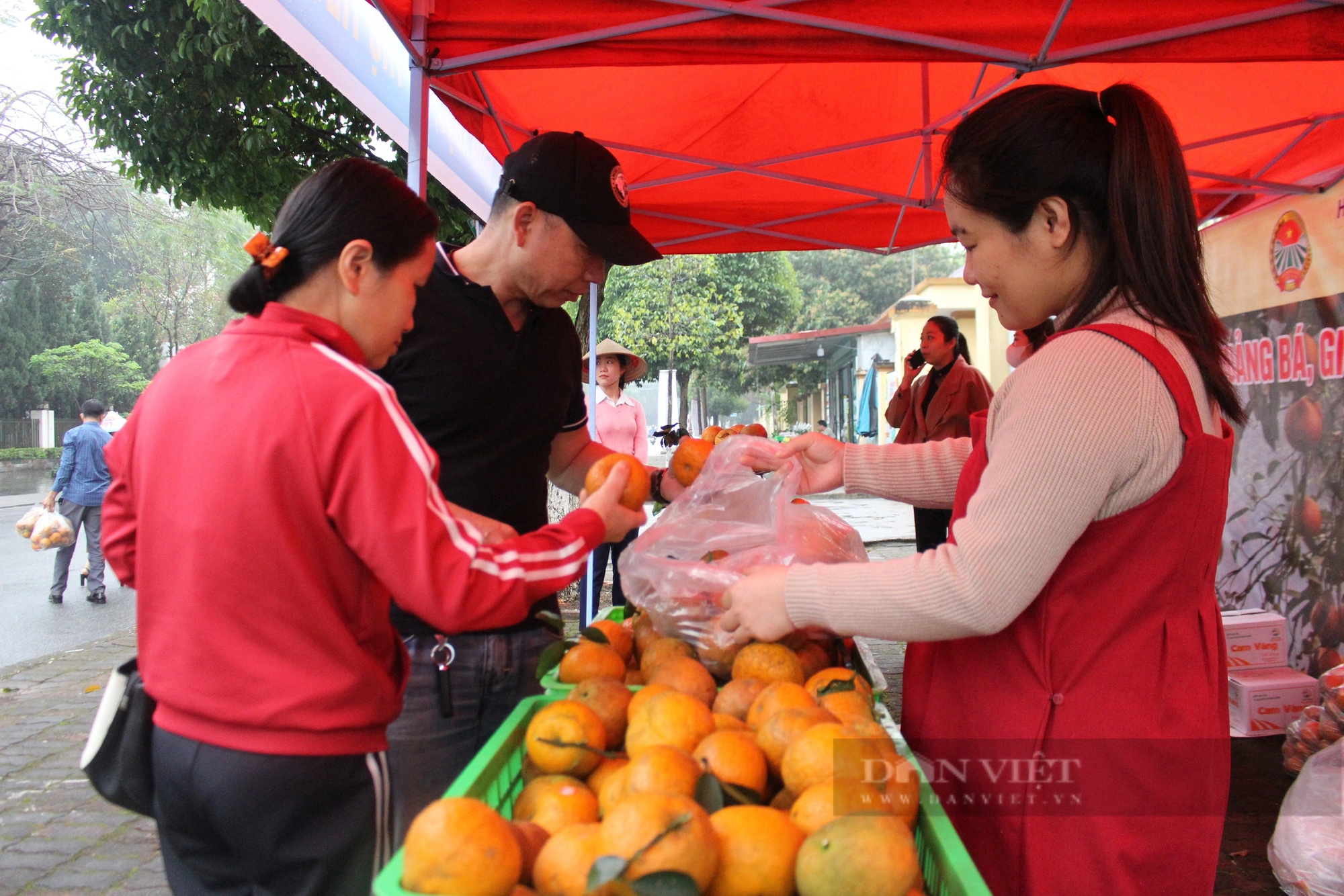 Hội Nông dân tỉnh Bắc Ninh hỗ trợ quảng bá, tiêu thụ cam sành Hà Giang- Ảnh 1.