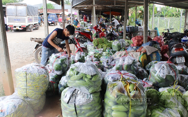 Chợ Cầu K13 được xem là chợ đầu mối nông sản lớn nhất tỉnh Tây Ninh. Ảnh: Nguyên Vỹ