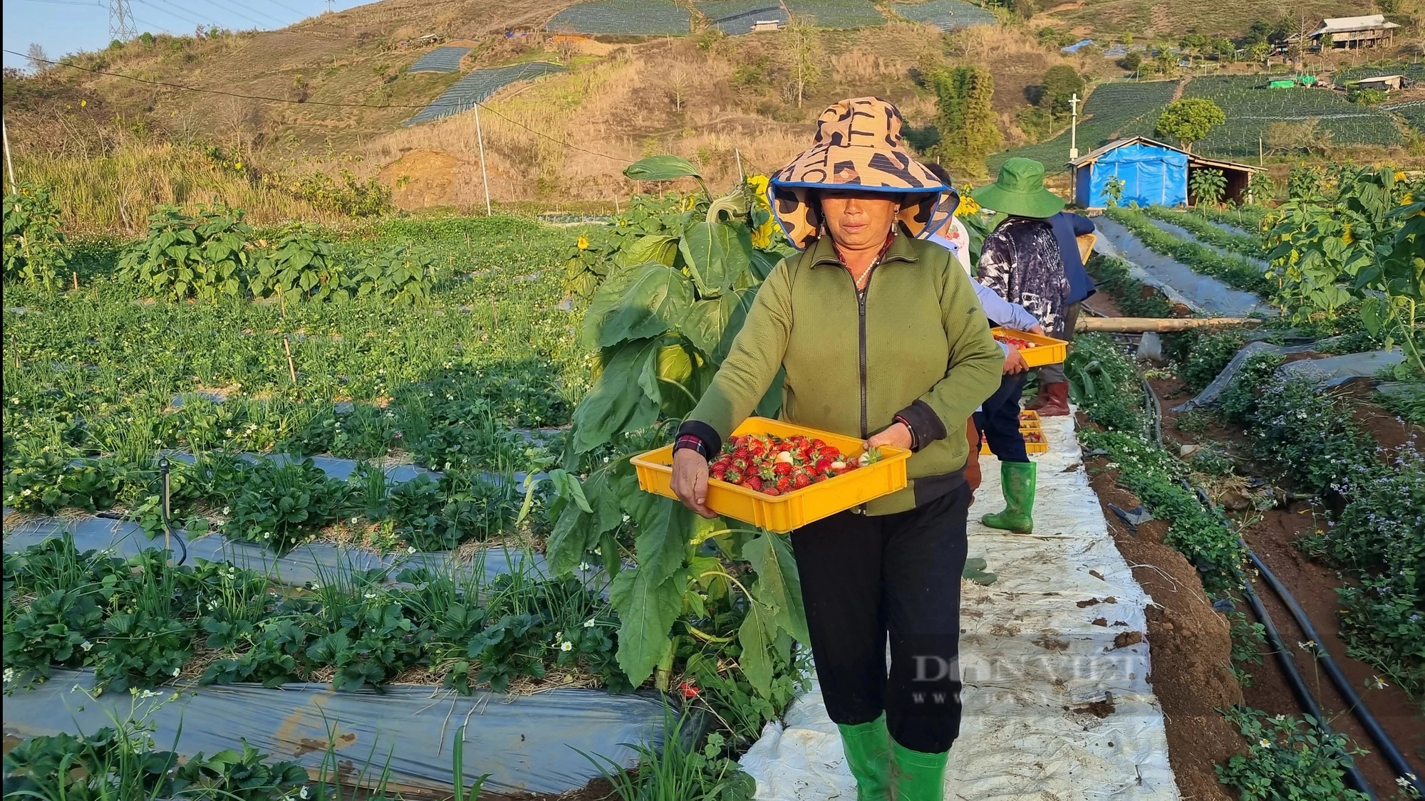 Ngã ba Cò Nòi – "Huyết quản" của chiến dịch Điện Biên Phủ- Ảnh 6.