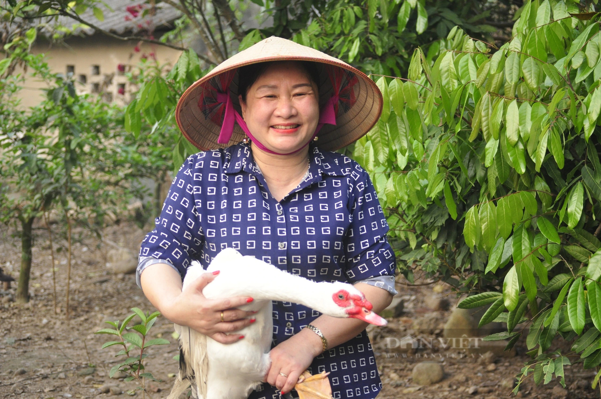 Nuôi giống ngan sao bản địa thơm ngon, nông dân một xã của tỉnh Quảng Ninh lắm lúc không có hàng mà bán- Ảnh 2.