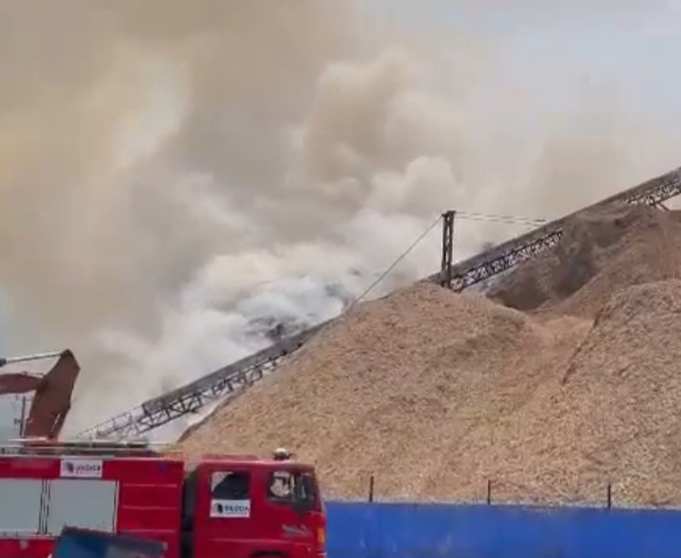 Cháy lớn tại bãi dăm gỗ của doanh nghiệp ở Khu kinh tế Chân Mây- Lăng Cô, tỉnh Thừa Thiên Huế- Ảnh 1.