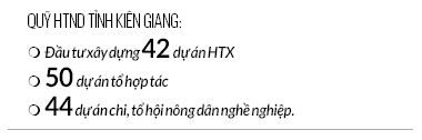 Hội Nông dân Kiên Giang xây dựng nhiều kinh tế tập thể từ Quỹ Hỗ trợ nông dân- Ảnh 2.