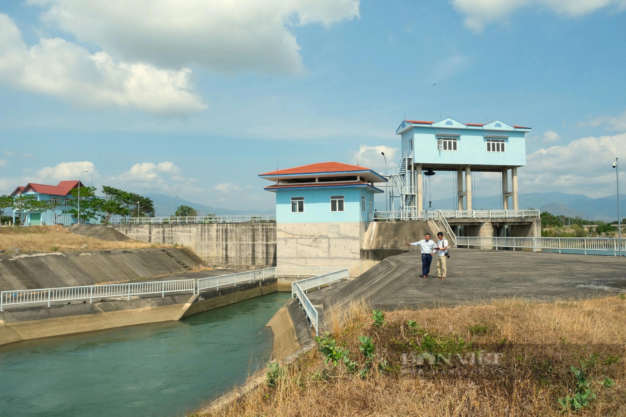 Nước từ công trình thủy lợi hiện đại nhất Việt Nam đi đến đâu, cánh đồng ở Ninh Thuận xanh đến đó - Ảnh 9.