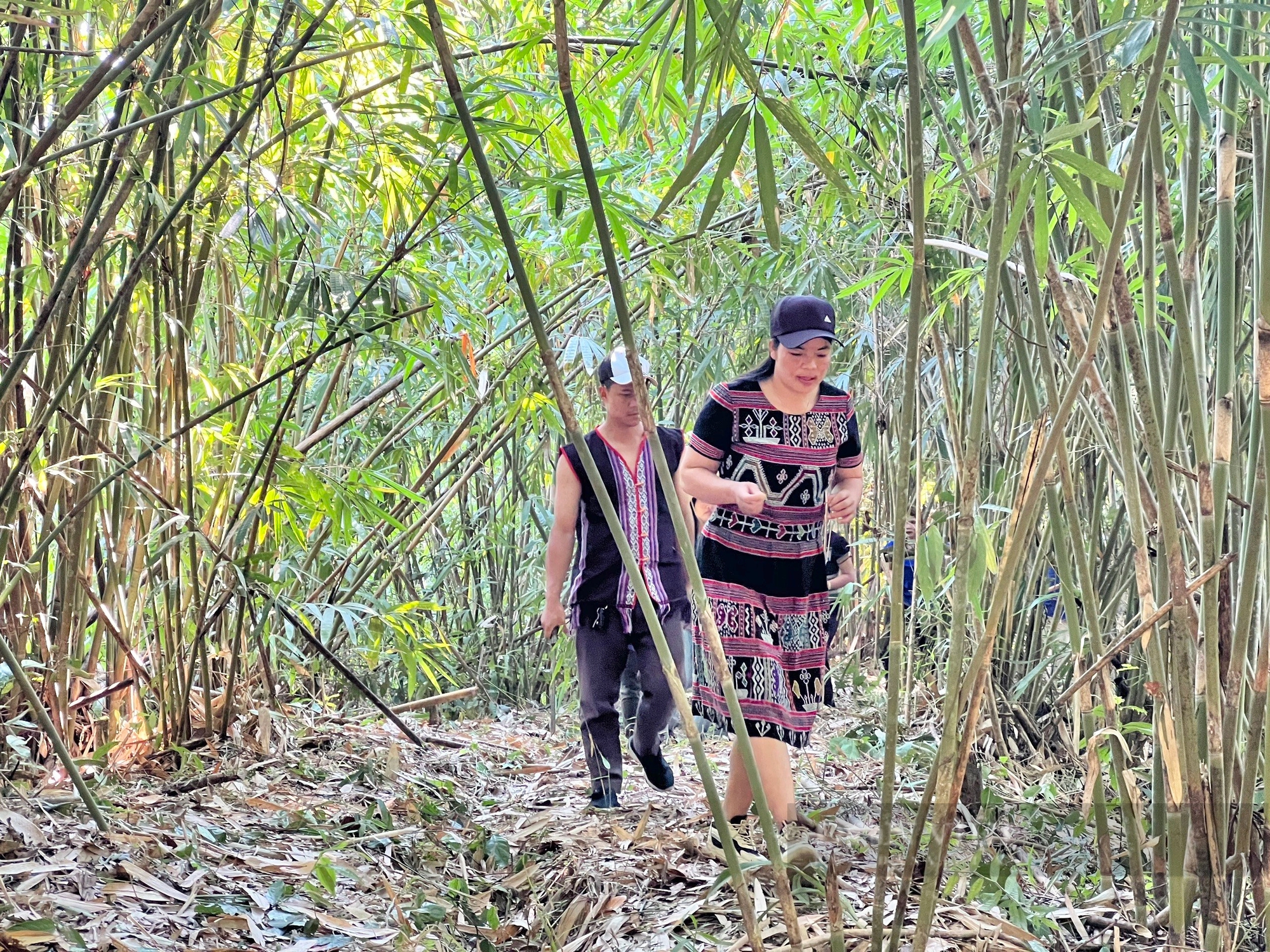 Chị đẹp Cơ Tu lập hợp tác xã, mang đặc sản núi rừng Quảng Nam xuống phố- Ảnh 1.