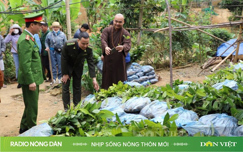 Nhịp sống nông thôn mới ngày 15/03/2024- Ảnh 1.