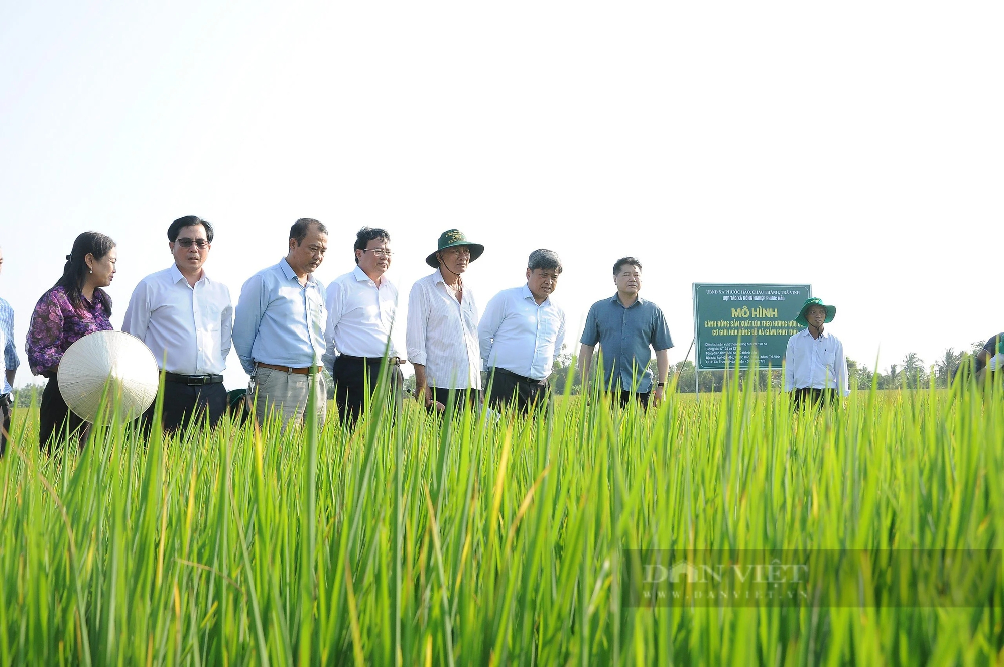 Đã có những người làm khuyến nông cộng đồng ở An Giang, Kiên Giang thu nhập tới 20 triệu đồng/tháng- Ảnh 2.