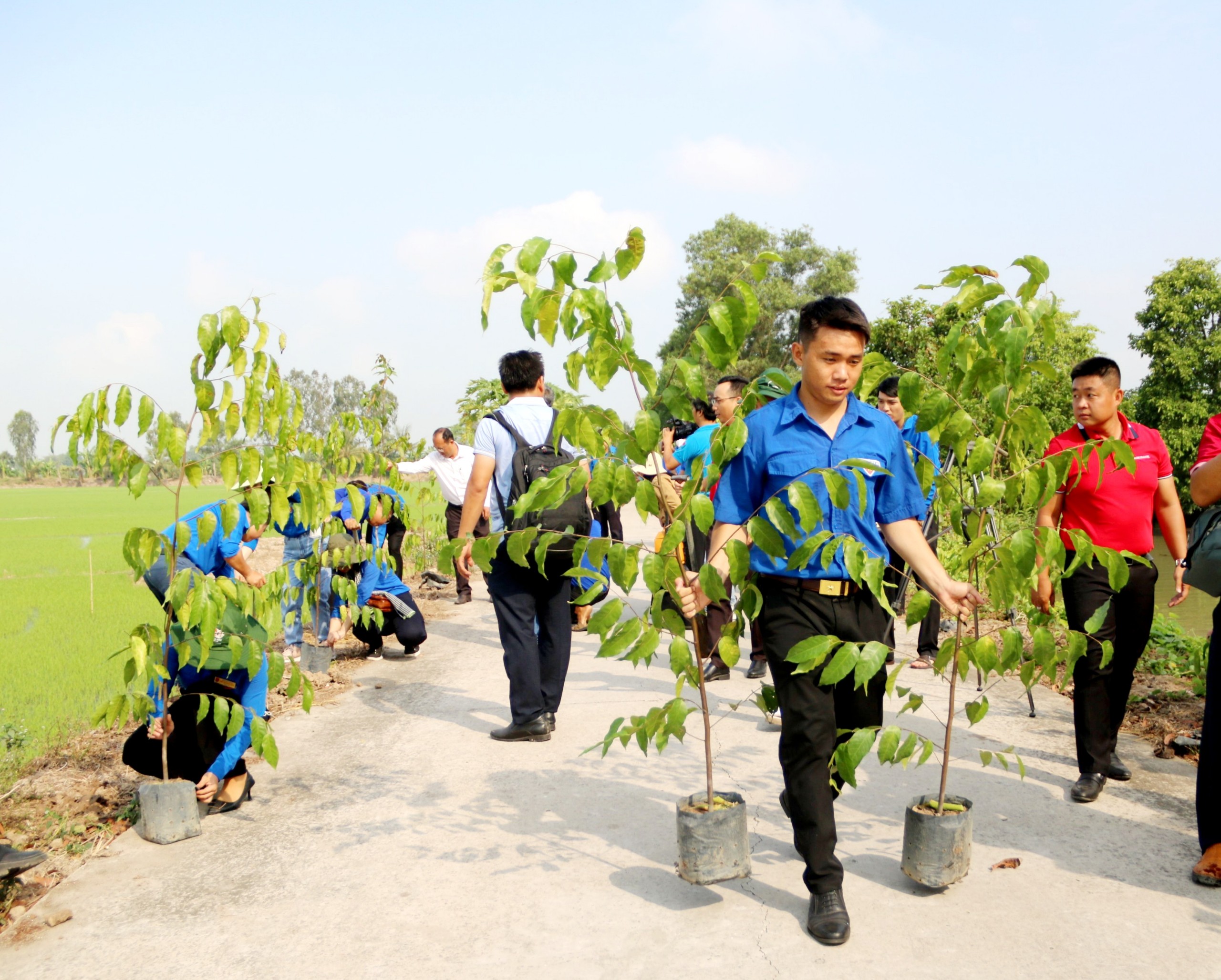 Đoàn Thanh niên VPĐD, các CN Agribank tại Cần Thơ phối hợp trồng 500 cây sao tại huyện Cờ Đỏ- Ảnh 8.