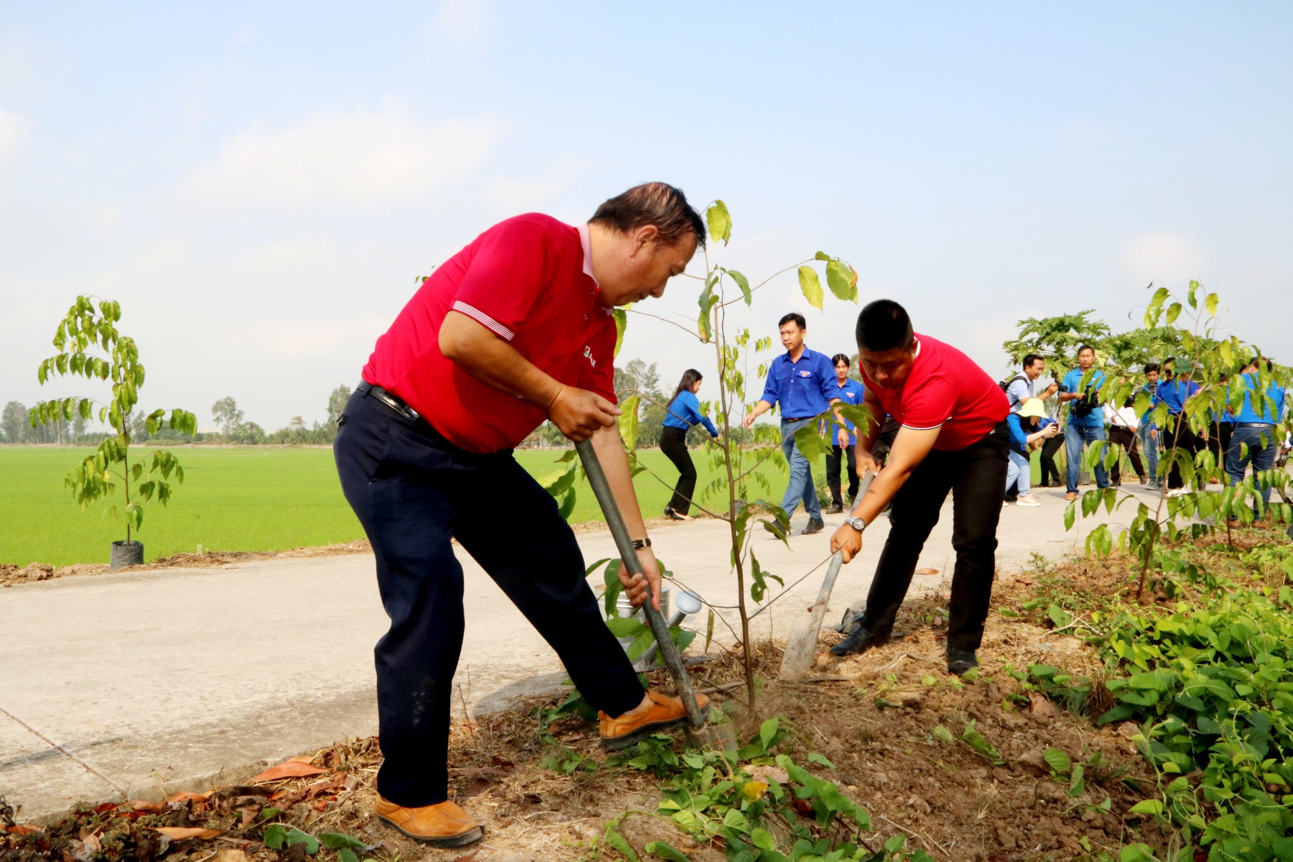 Đoàn Thanh niên VPĐD, các CN Agribank tại Cần Thơ phối hợp trồng 500 cây sao tại huyện Cờ Đỏ- Ảnh 6.