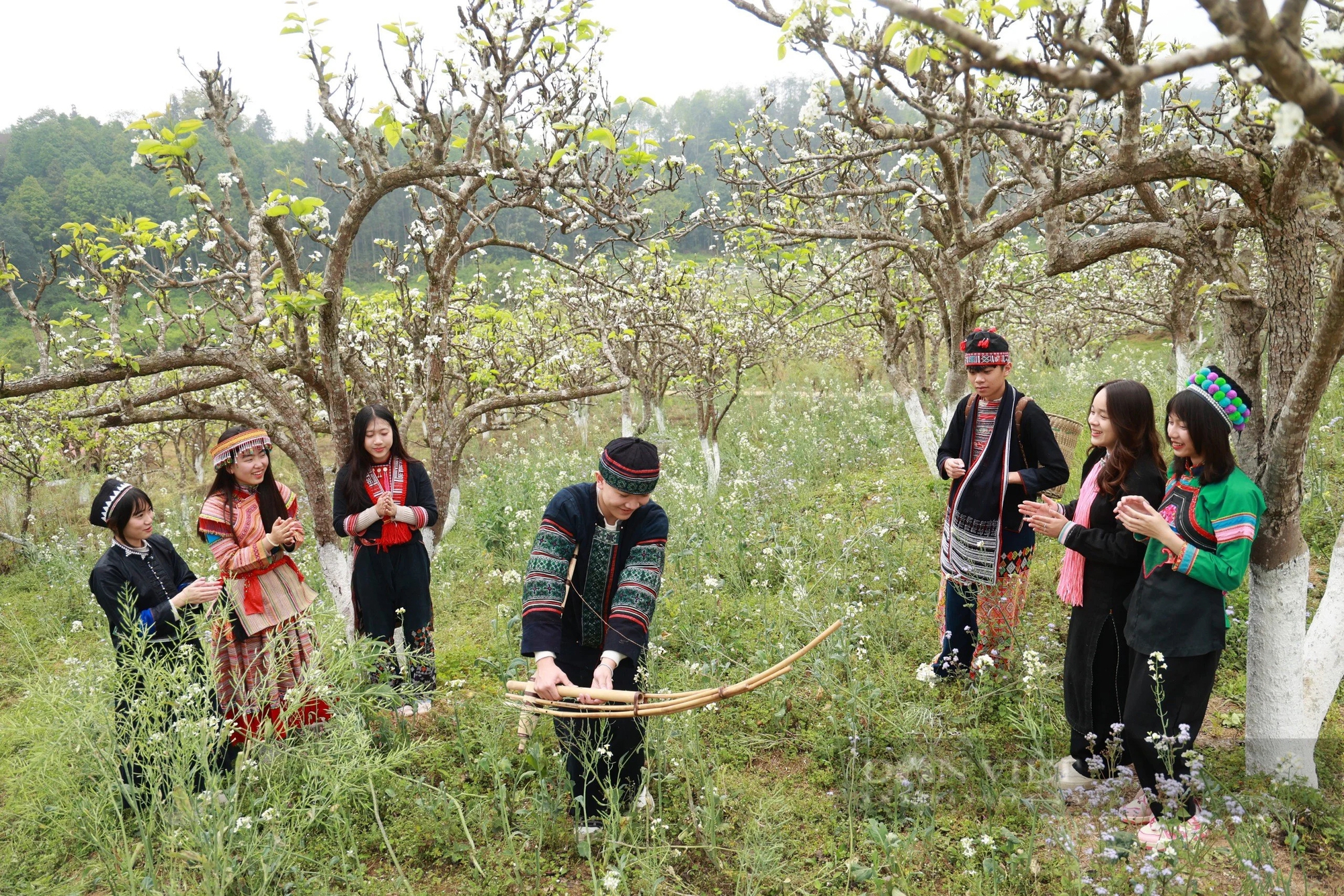 Du khách đắm chìm với vẻ đẹp tinh khôi của hoa lê vùng cao nguyên trắng Bắc Hà - Ảnh 6.