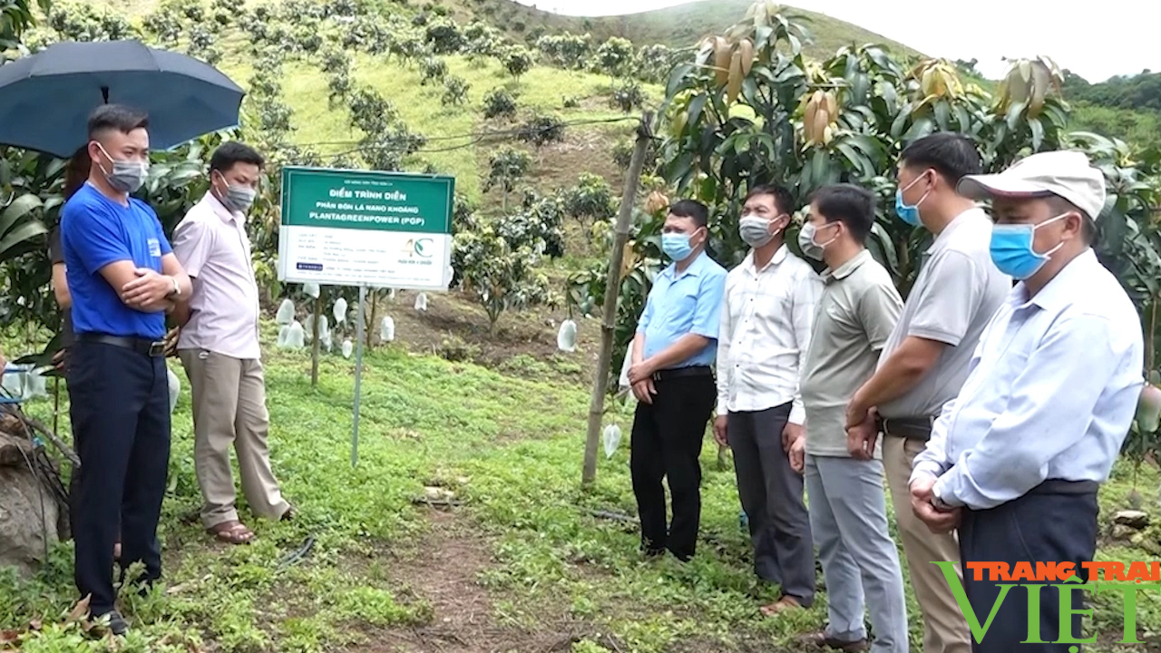 Thực hiện có hiệu quả các phong trào nông dân ở huyện vùng cao Yên Châu- Ảnh 3.