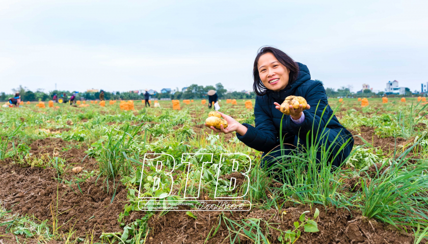 Chị đẹp Thái Bình biến ruộng hoang thành nông trại rau hữu cơ, vừa bán kiếm tiền vừa cho mọi người vào trải nghiệm- Ảnh 1.