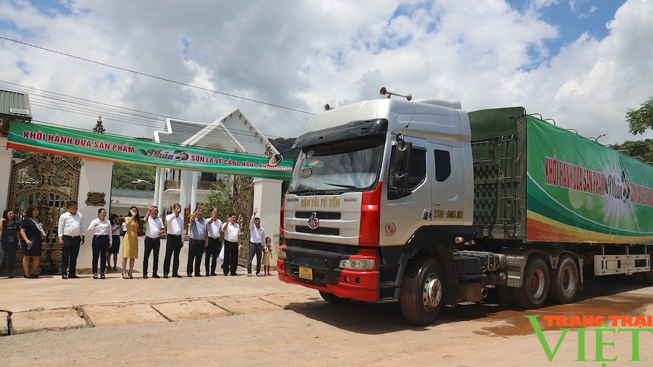 Nông dân Yên Châu đẩy mạnh các giải pháp tiêu thụ nông sản- Ảnh 2.