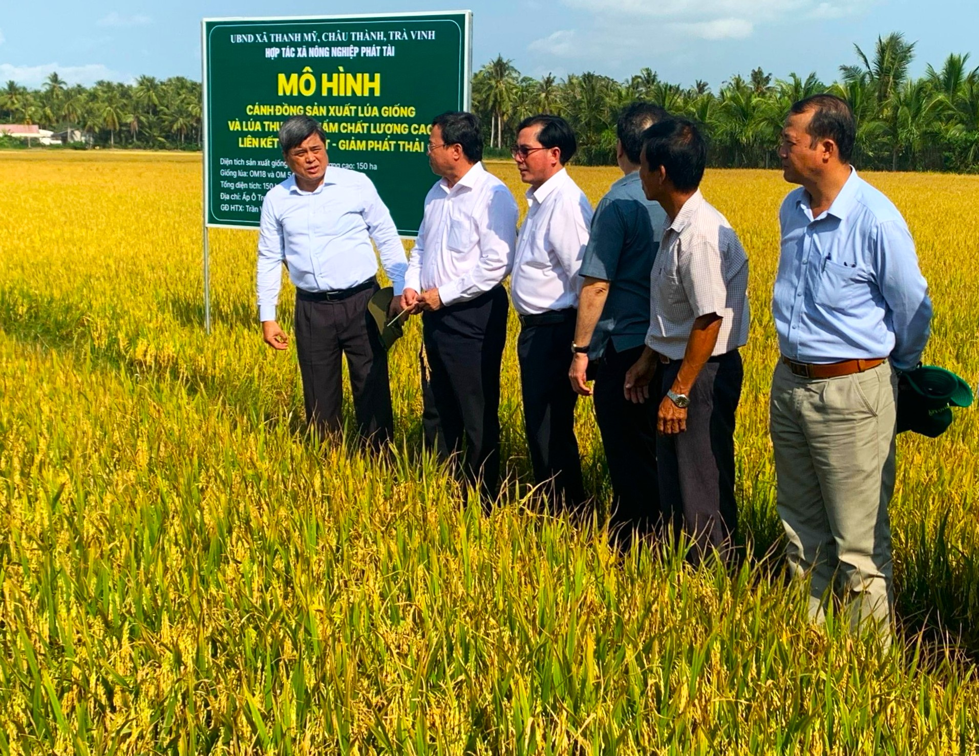 Đoàn công tác Bộ Nông nghiệp và Phát triển Nông thôn khảo sát tại đồng lúa HTX Phát Tài sử dụng NPK Phú Mỹ