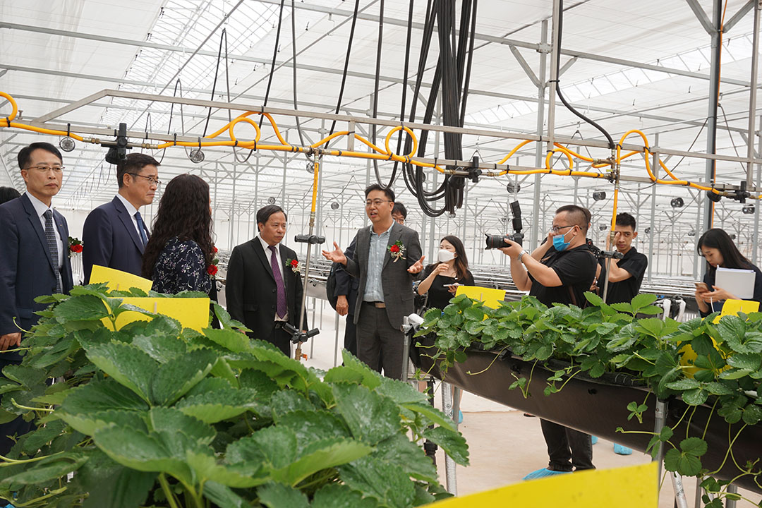 Hàn Quốc cam kết hỗ trợ Việt Nam phát triển 6 lĩnh vực trong ngành nông nghiệp- Ảnh 2.