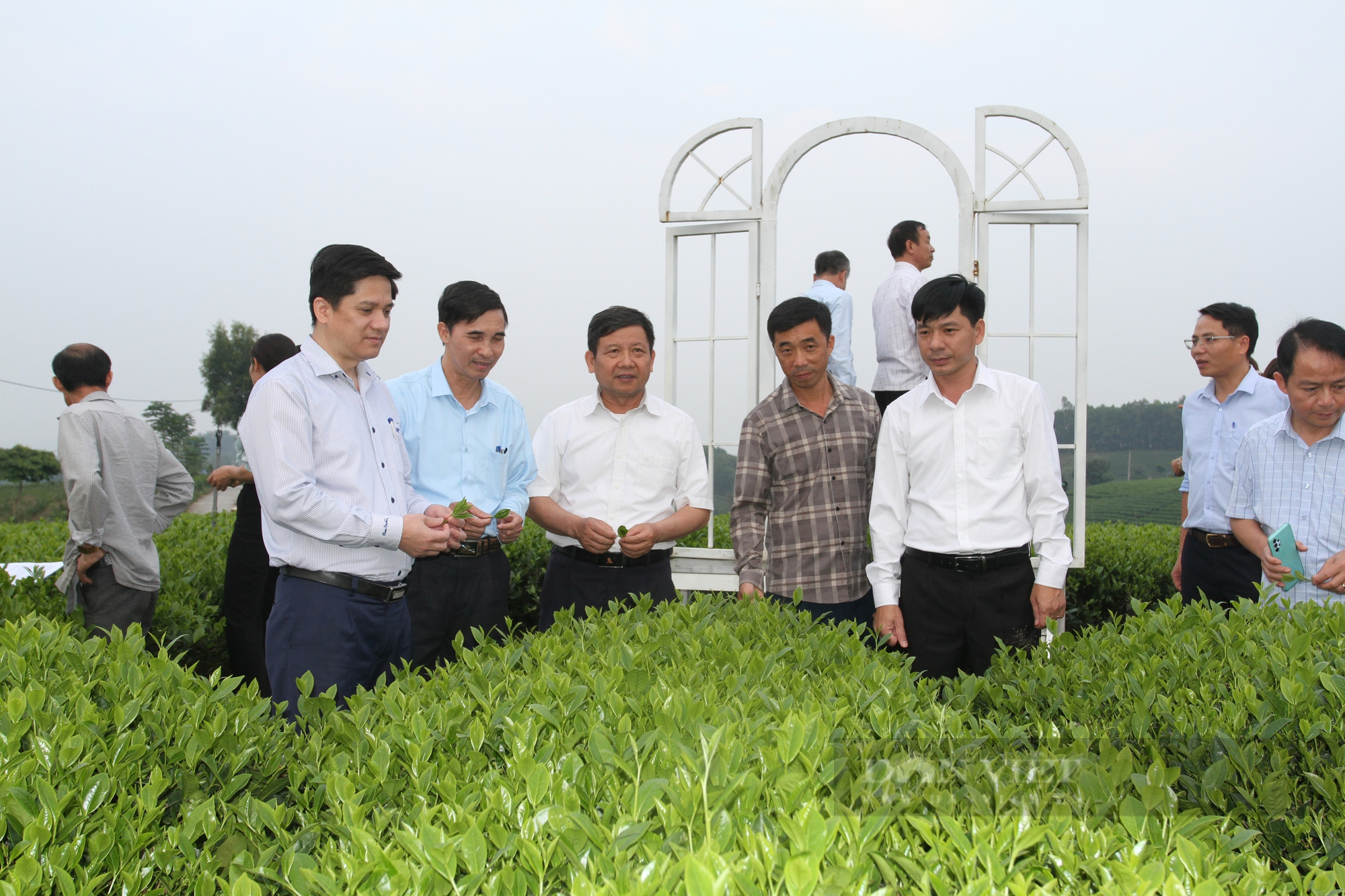 T.Ư Hội Nông dân Việt Nam ban hành công văn tăng cường và nâng cao hiệu quả hoạt động Quỹ Hỗ trợ nông dân- Ảnh 1.