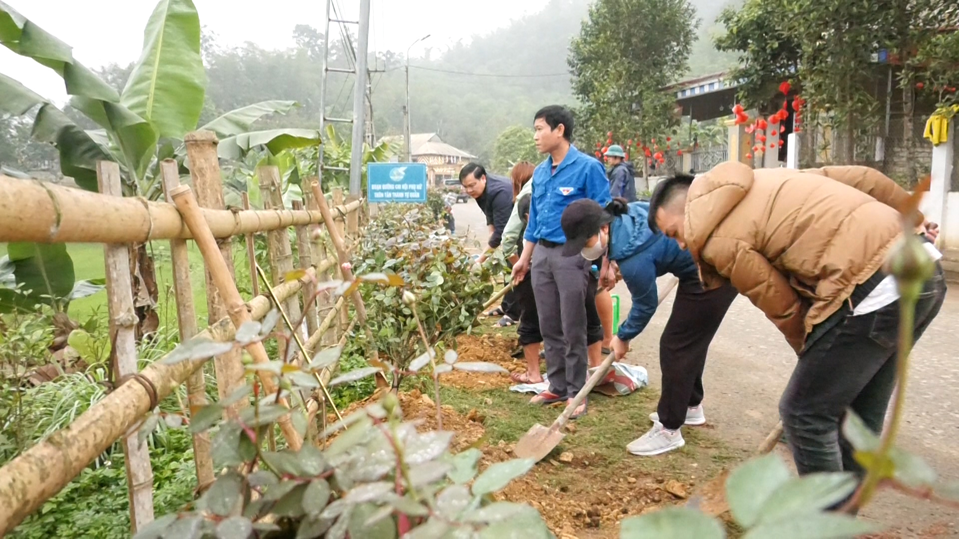 Nơi xa xôi của Thanh Hóa, một xã trồng hoa hồng cổ làm đường hoa nông thôn mới- Ảnh 1.