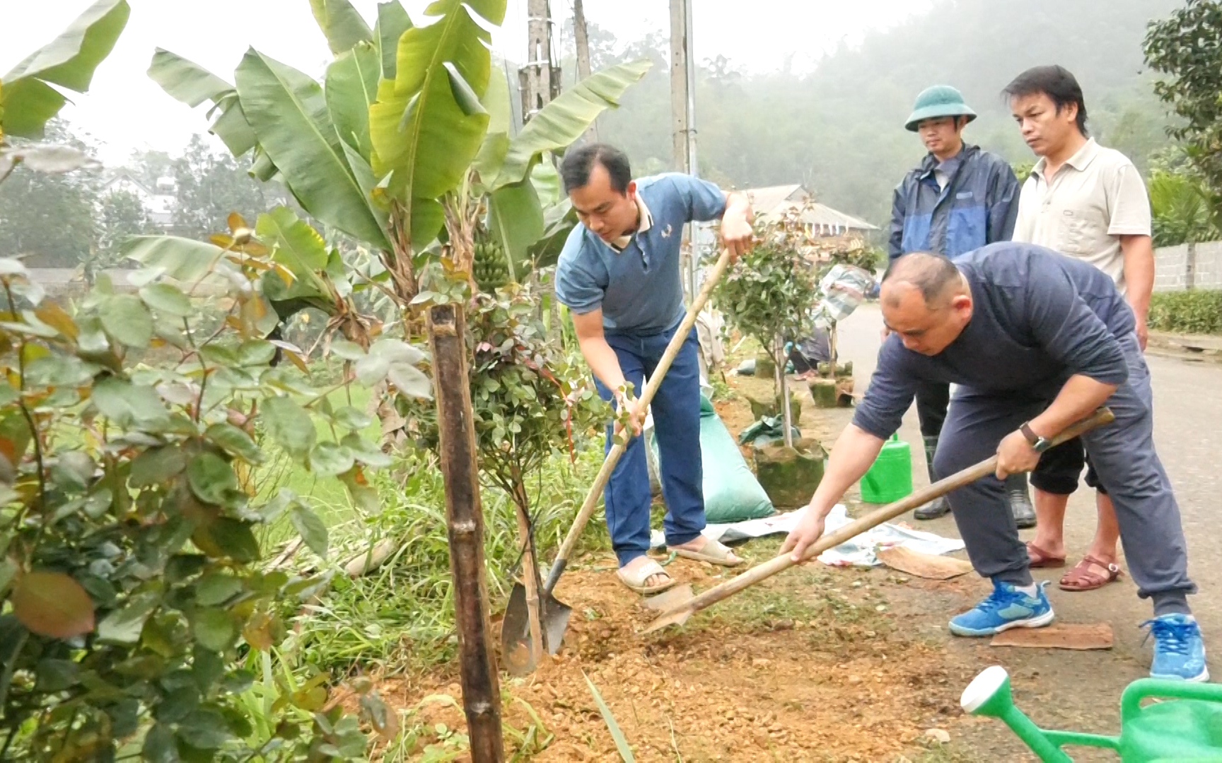 Nơi xa xôi của Thanh Hóa, một xã trồng hoa hồng cổ làm đường hoa nông thôn mới