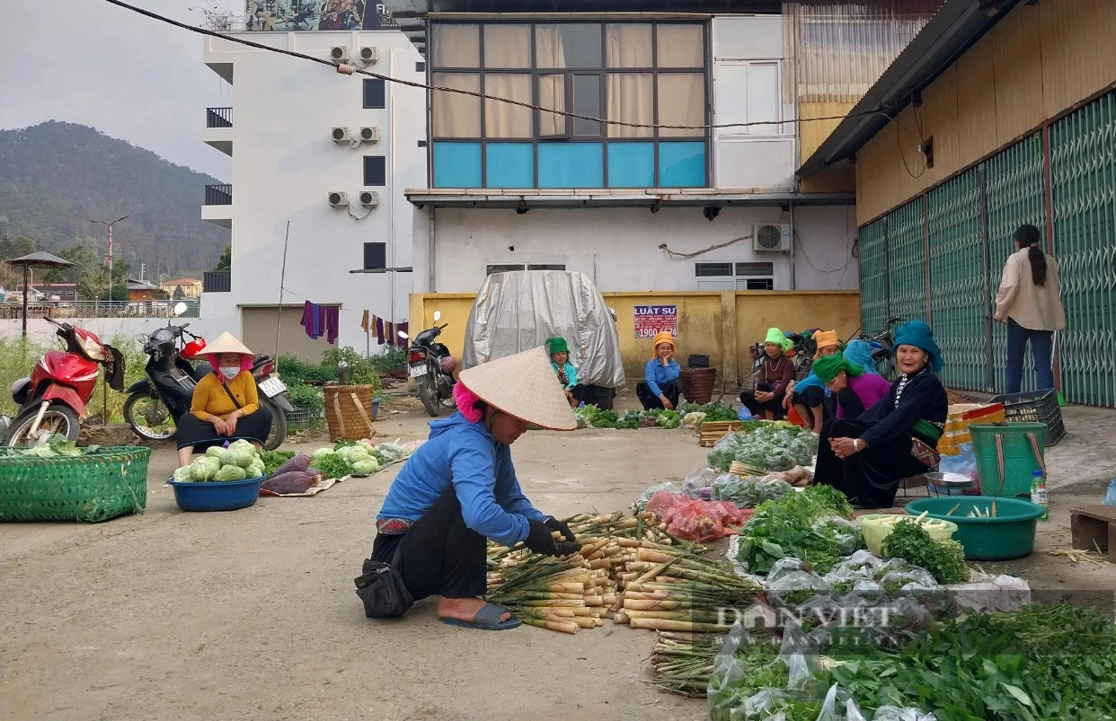Sáng ra dân một huyện của Yên Bái lên rừng tìm cắt một loại "rau rừng", chưa ra tới chợ đã thành đặc sản- Ảnh 4.