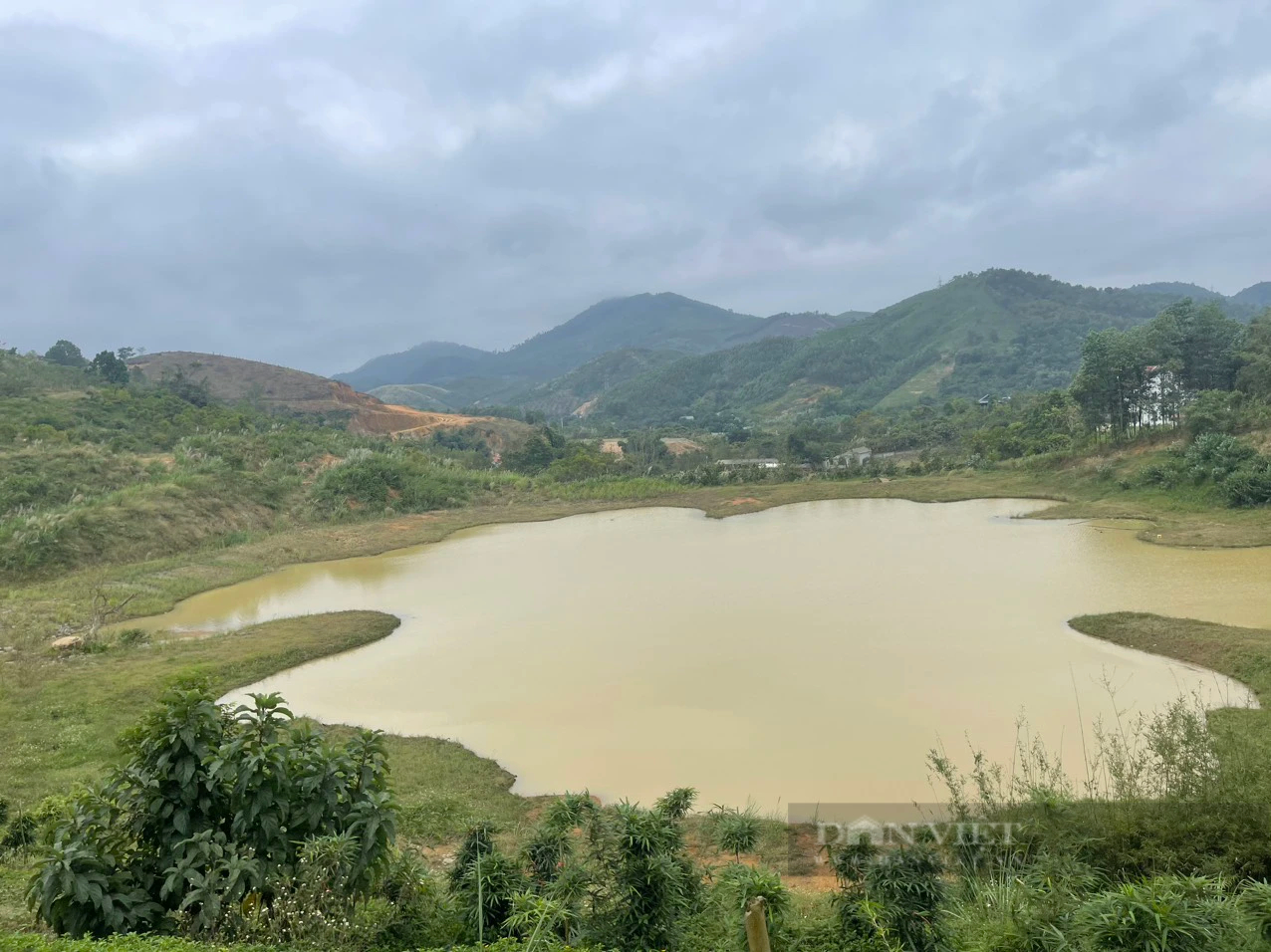 Hòa Bình: Công ty Văn Khôi làm đường trái phép lên đất rừng, đón đường xây đô thị, biệt thự? - Ảnh 6.