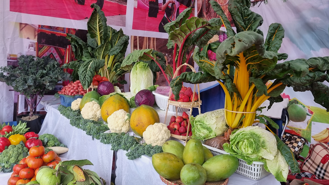 Thành phố Sơn La đa dạng các sản phẩm nông nghiệp - Ảnh 10.