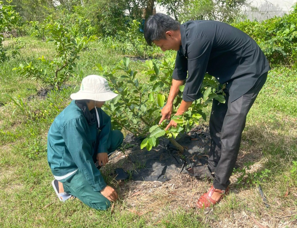 Bỏ phố về quê trồng cây gì mà nông dân bảnh trai Bình Dương bán trái ngon sang tận Trung Đông?- Ảnh 7.