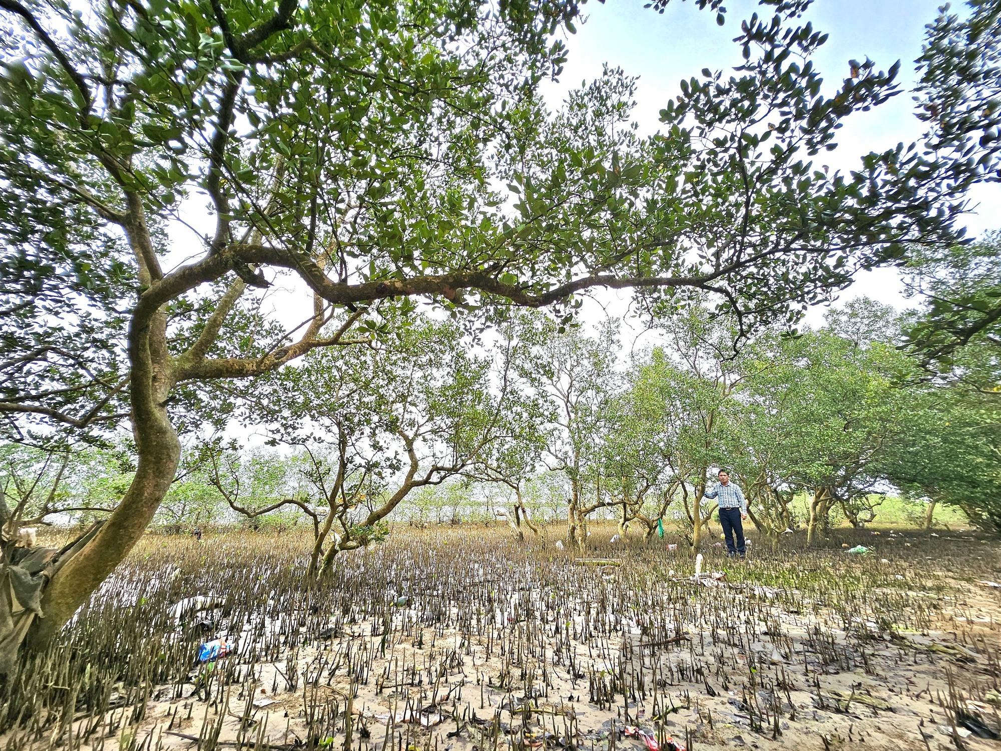 Ở khu rừng ở Quảng Bình, trên cây ra trái lạ, dưới vô số con đặc sản, chim hoang dã bay rợp mặt nước- Ảnh 2.