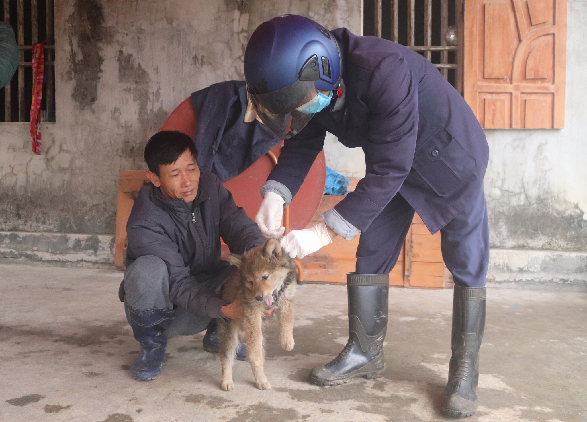 Chó dại tấn công 13 học sinh và 1 thầy giáo, một huyện ở Quảng Ninh khẩn trương dập dịch- Ảnh 2.