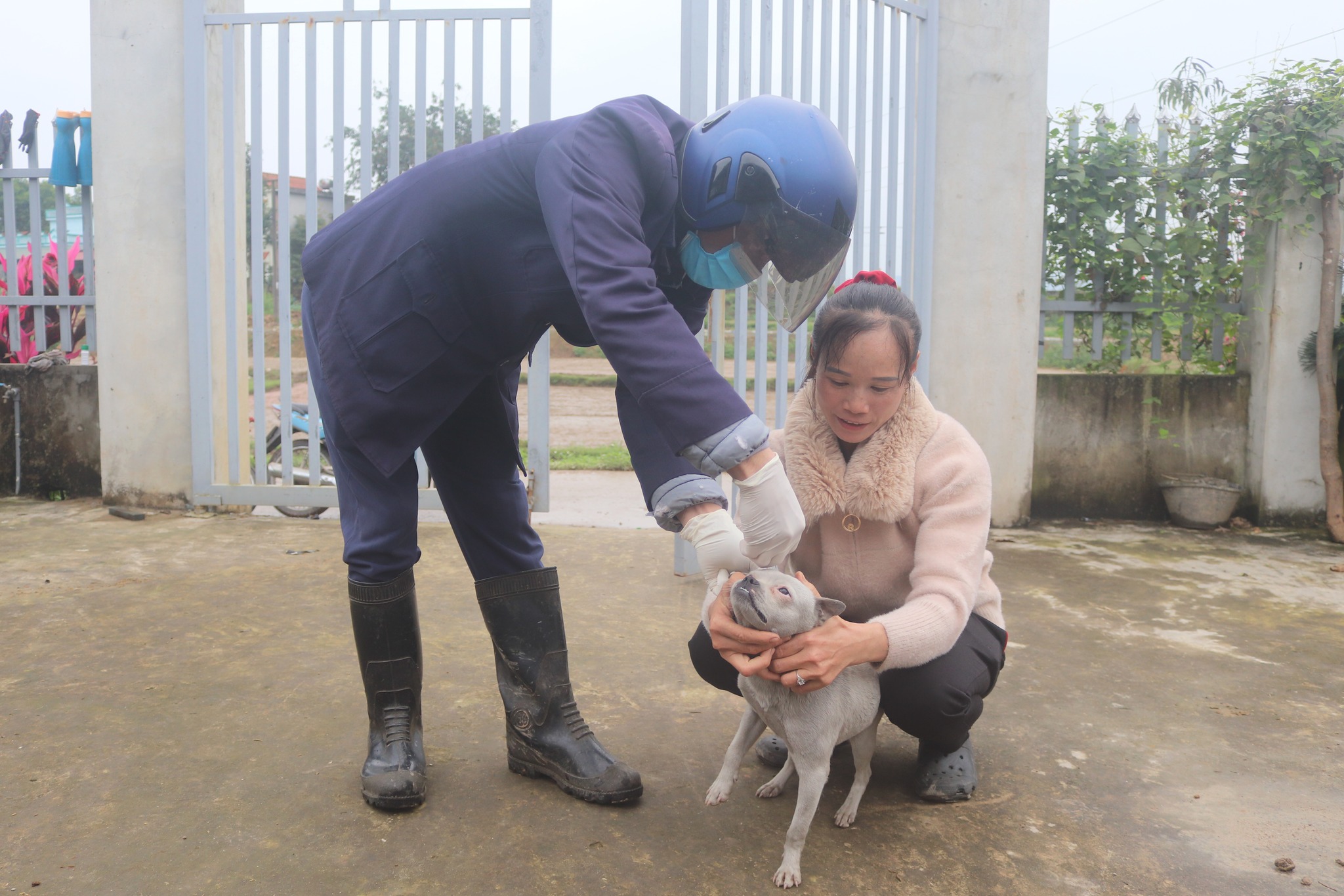 Nóng: Thêm một địa phương ở Quảng Ninh phát hiện ổ dịch bệnh Dại- Ảnh 1.