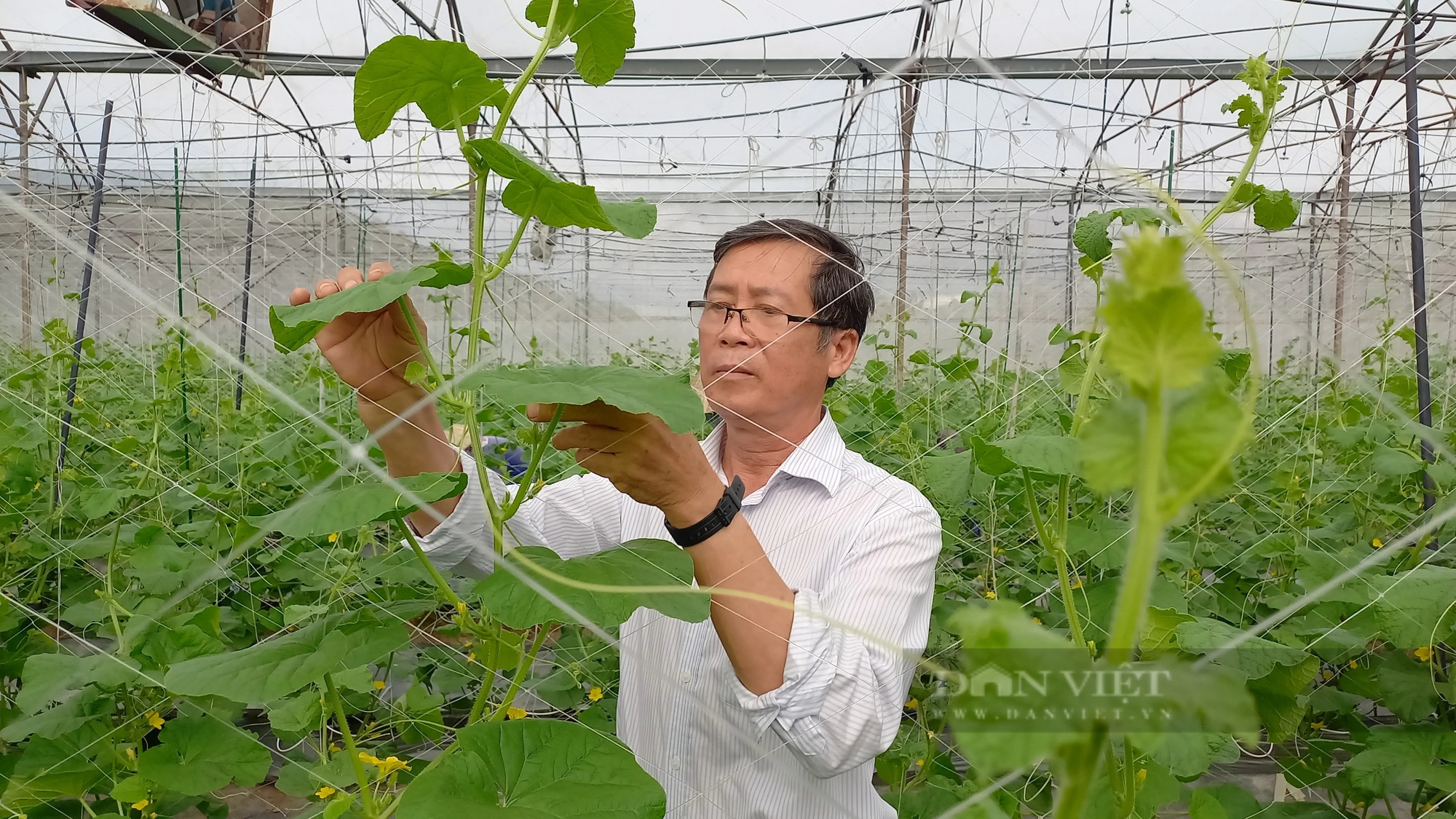 TS Đinh Minh Hiệp: Báo NTNN đã tuyên truyền sâu rộng về ngành nông nghiệp - phát triển nông thôn TP.HCM- Ảnh 5.